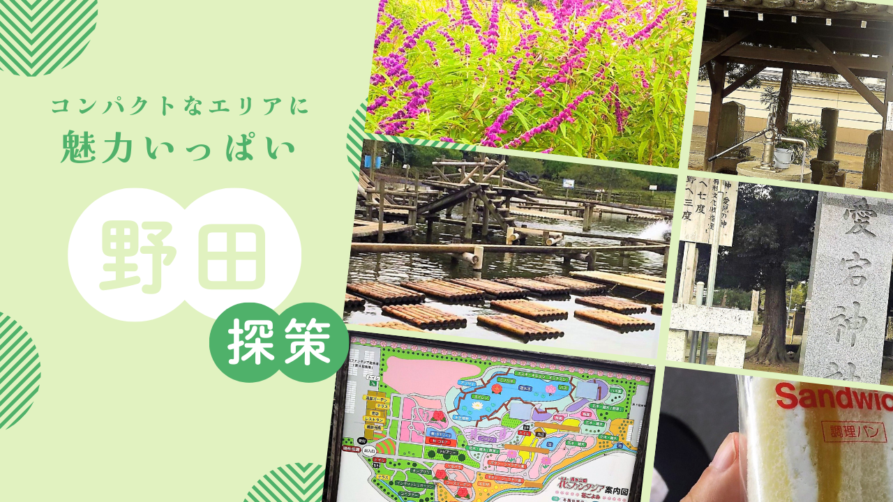 投稿サムネイル